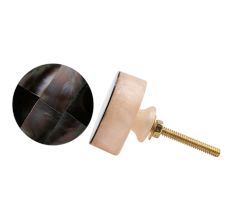 Cream Round Shell Resin Drawer Knob